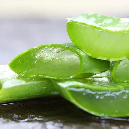 #2. Алоэ вера